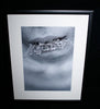 'Unconscious Dream' Framed Print Silver #2